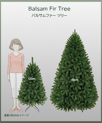 �T�C�Y�C���[�W